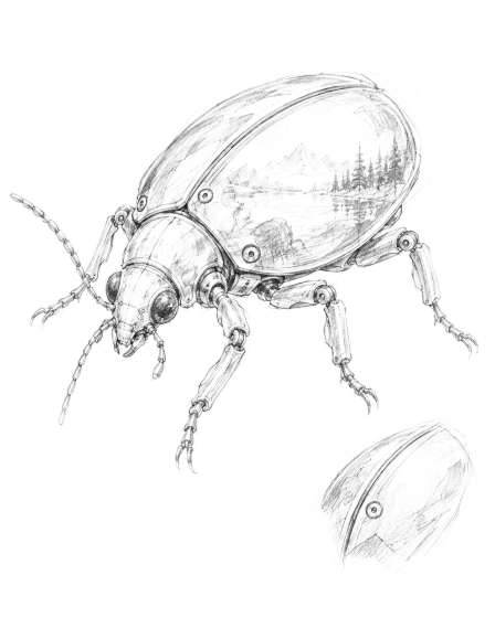 Graphite field sketch of a mechanical beetle familiar with a landscape inside its shell, plus a shell-fragment study.